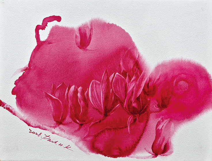 Sub Image 1